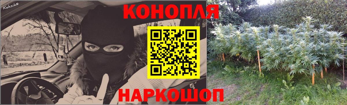 МАРИХУАНА план Уварово
